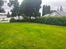 House for Sale - Photo 4