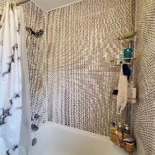 CENTRETOWN - 1 Bed with Den - August 1st     Across from Park - Photo 12