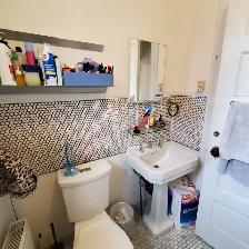 CENTRETOWN - 1 Bed with Den - August 1st     Across from Park - Photo 15