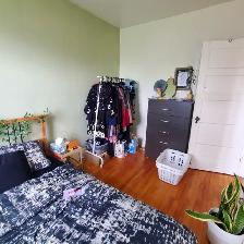 CENTRETOWN - 1 Bed with Den - August 1st     Across from Park - Photo 21