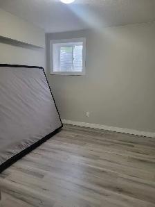 (600$) BASEMENT ROOM RENTAL - Photo 3