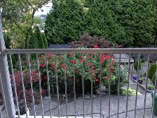 Furnished AirConditioned Two Floors Renovated - Photo 4