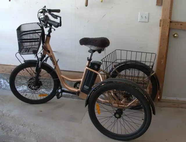 E-trike for sale