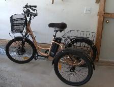 E-trike for sale