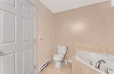 2 Beds 1 Bath - Apartment - Photo 11