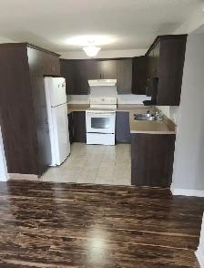 2 Beds 1 Bath - Apartment - Photo 14