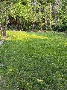 3 bedroom - Photo 2