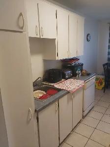 Grand 3 1/2 sur le Boulevard Saint-Martin Est, Duvernay, Laval - Photo 6