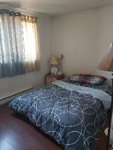 Grand 3 1/2 sur le Boulevard Saint-Martin Est, Duvernay, Laval - Photo 8