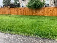 Decks,Fences,Sheds,Pergola. Building - Photo 4