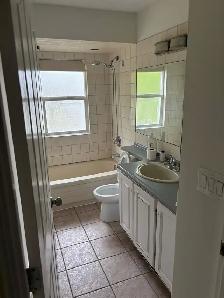 Whole house for rent - Photo 2