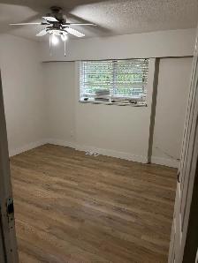 Whole house for rent - Photo 3