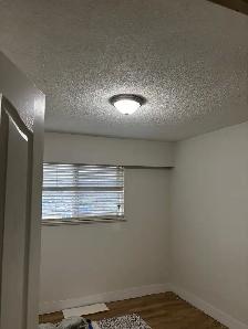 Whole house for rent - Photo 4