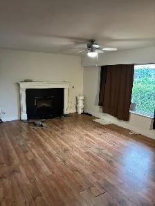 Whole house for rent - Photo 6