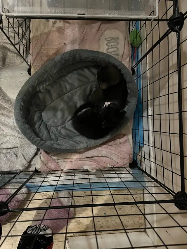 born May 6th last to go!
