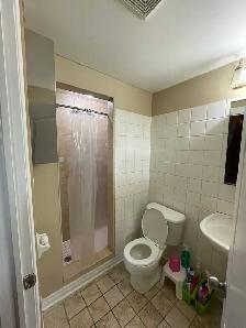 Room For Rent (females only) - Photo 5
