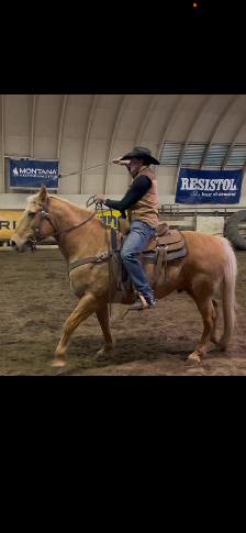All around Palomino Gelding $15000.00Call 403-860-4478 - Photo 3