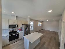Shared house to RENT - Photo 6