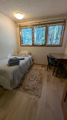 Furnished 4-bedroom home in Greystone Heights - Photo 9