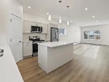 NEW SPACIOUS 3 Bdrm Bsmnt Suite. N/Kildonan, Parking, Laundry - Photo 3
