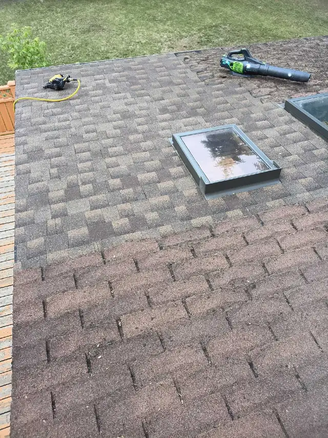 Roofing Help
