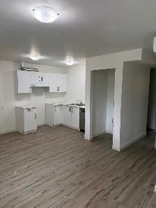 New cheap large 2 bedroom 2 bathroom unit for rent $1425 - Photo 3