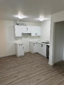 New cheap large 2 bedroom 2 bathroom unit for rent $1425 - Photo 9
