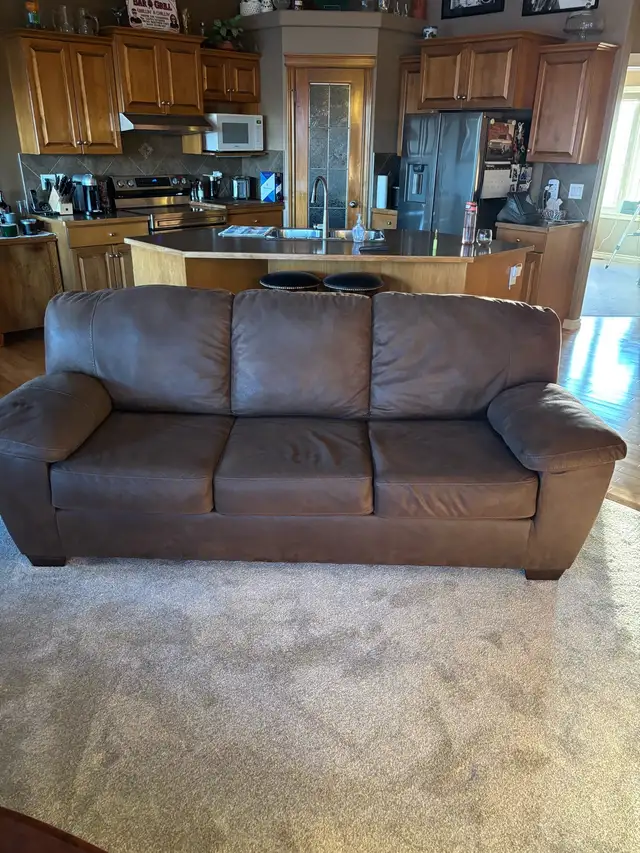 beautiful brown velvet couch