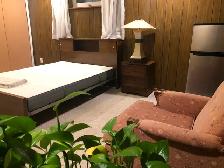 1 BR basement apartment $900 pm available from 1st July 2026