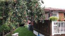 1 BR basement apartment $900 pm available from 1st July 2026 - Photo 6