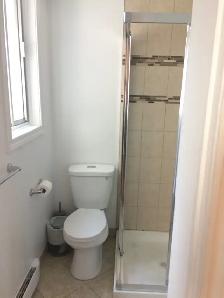 Renovated Apartment near metro Vendome for July - Photo 6