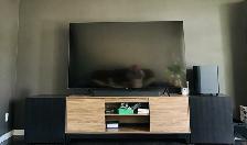 Samsung TV 82" with a TV stand