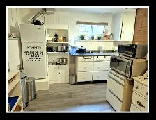 PRIVATE BASEMENT SUITE NEAR CHINOOK- AVAIL JULY 1ST - Photo 3