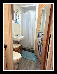 PRIVATE BASEMENT SUITE NEAR CHINOOK- AVAIL JULY 1ST - Photo 10