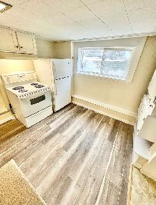 1 Bedroom Apartment Downtown (Open Now) - Dog & Cat Friendly - Photo 2