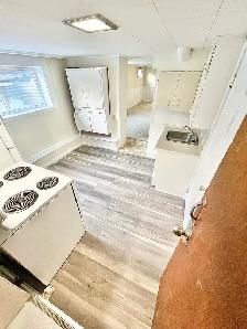 1 Bedroom Apartment Downtown (Open Now) - Dog & Cat Friendly - Photo 3