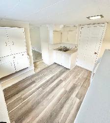 1 Bedroom Apartment Downtown (Open Now) - Dog & Cat Friendly - Photo 4