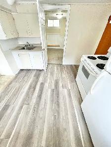 1 Bedroom Apartment Downtown (Open Now) - Dog & Cat Friendly - Photo 5