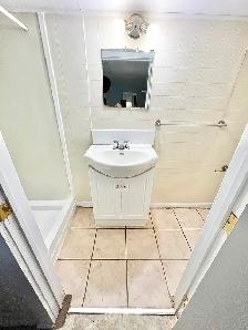 1 Bedroom Apartment Downtown (Open Now) - Dog & Cat Friendly - Photo 11