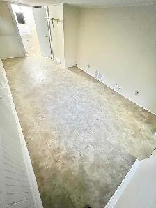 1 Bedroom Apartment Downtown (Open Now) - Dog & Cat Friendly - Photo 15