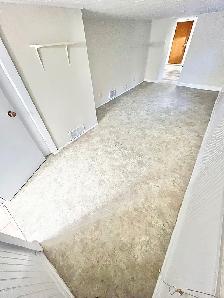 1 Bedroom Apartment Downtown (Open Now) - Dog & Cat Friendly - Photo 16