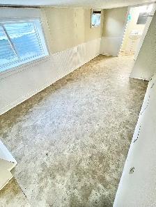 1 Bedroom Apartment Downtown (Open Now) - Dog & Cat Friendly - Photo 17