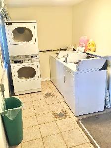 1 Bedroom Apartment Downtown (Open Now) - Dog & Cat Friendly - Photo 20