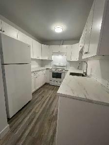 3 bedroom 1 bathroom - Photo 6