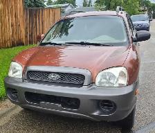 2004 Hyundai Santa Fe - Photo 3