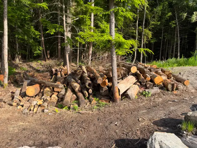 Free Firewood