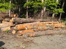 Free Firewood - Photo 2