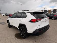 2020 Toyota RAV4 LE AWD : One Owner , No Reported Accidents - Photo 6