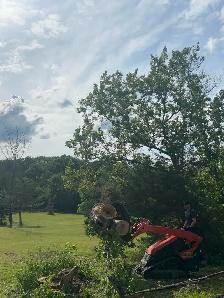 skidsteer with operator - Photo 5