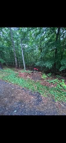 skidsteer with operator - Photo 6